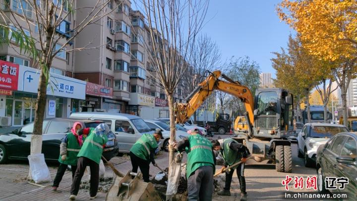 _沈阳市和平区：初冬好时节补植作业忙_沈阳市和平区：初冬好时节补植作业忙