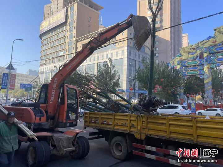 _沈阳市和平区：初冬好时节补植作业忙_沈阳市和平区：初冬好时节补植作业忙