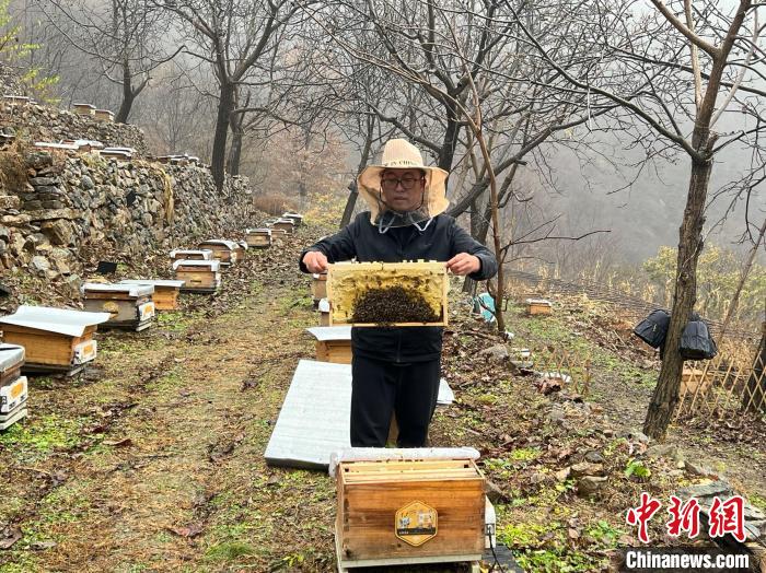 科技养蜂助推京城小乡村“甜蜜事业”__科技养蜂助推京城小乡村“甜蜜事业”